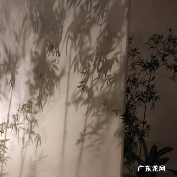 怎么样用面粉和油做酥油,怎么做油酥油