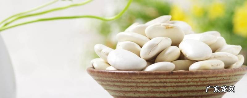 大白豆用冷水泡还是开水泡呢 大白豆用冷水泡还是热水泡