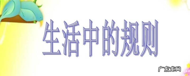 社会生活中的规则有哪些三年级 社会生活中的规则有哪些