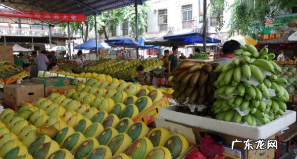 海南有哪些水果基地,海南当季水果有哪些