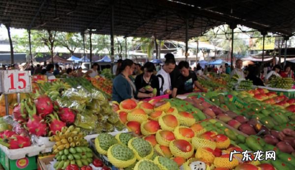 海南有哪些水果基地,海南当季水果有哪些