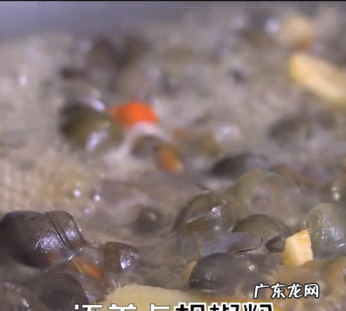 田螺的做法 家常田螺的做法,田螺的做法教程