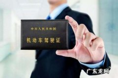 驾驶证有几种颜色,考驾照十二种颜色代表什么