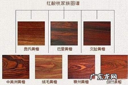黄花梨和酸枝怎么区别,黄花梨和白酸枝木的区别