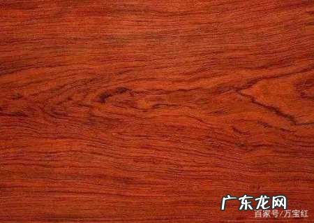 黄花梨和酸枝怎么区别,黄花梨和白酸枝木的区别