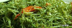 鹿角菜是什么植物 鹿角菜是什么植物多钱一斤