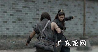 庆余年程巨树怎么死的,庆余年程巨树为什么刺杀范闲