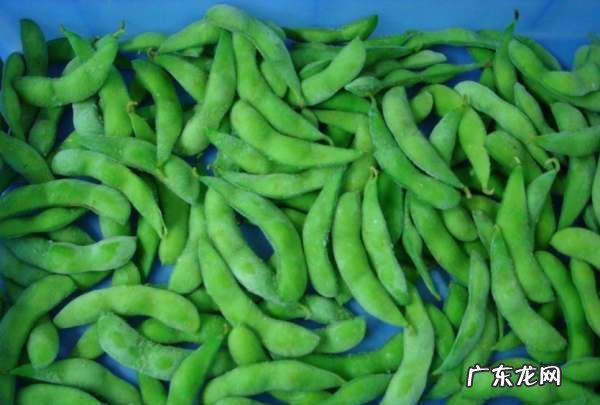 毛豆怎么样冷冻保鲜,毛豆米怎么保鲜储存时间长些