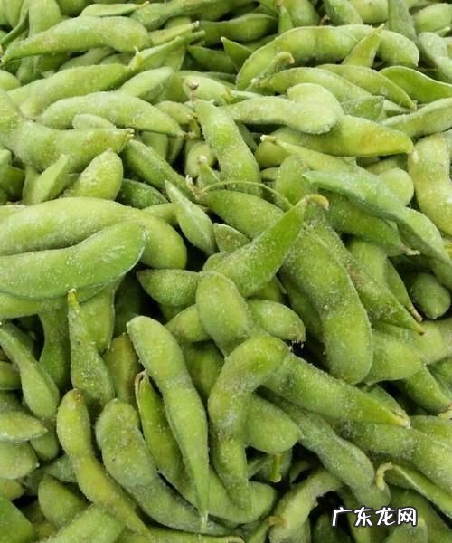 毛豆怎么样冷冻保鲜,毛豆米怎么保鲜储存时间长些