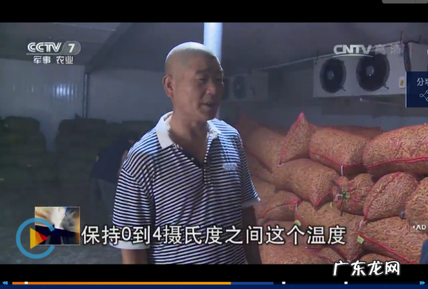 毛豆怎么样冷冻保鲜,毛豆米怎么保鲜储存时间长些