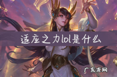 英雄联盟适应之力是什么意思,悠米的适应之力是什么意思