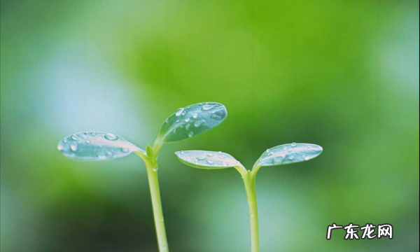 有关盼望的名言,关于希望的名言名句