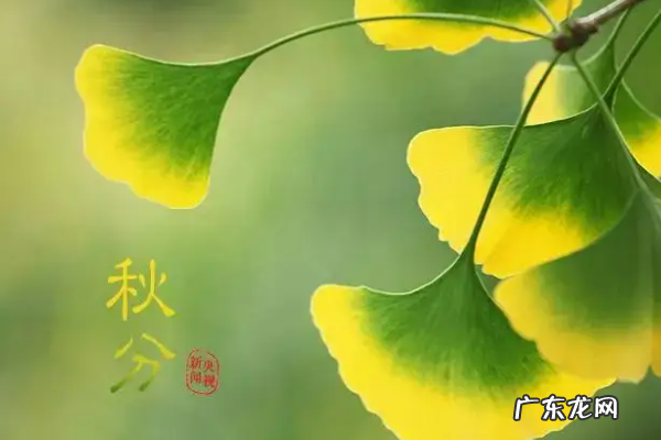 每年秋分日是什么节日,秋分也是我国的什么节日