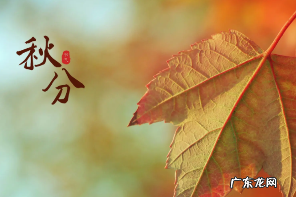 每年秋分日是什么节日,秋分也是我国的什么节日