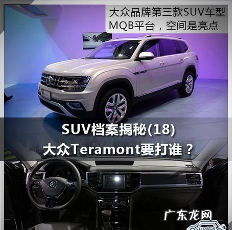 teramcnt大众叫什么,teramcnt大众什么车型