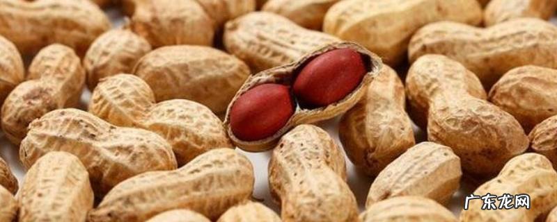 半空儿是什么 半空儿是什么玩具