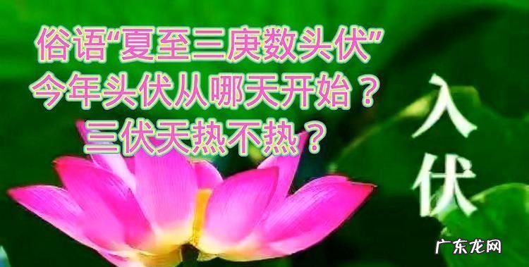 头伏是哪天 什么是三伏天,三个伏一共有多少天