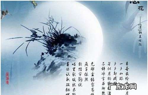 《白落梅经典语录》的句子,白落梅经典语录摘抄
