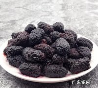 桑葚可以冷冻,新鲜的桑葚可以冷冻