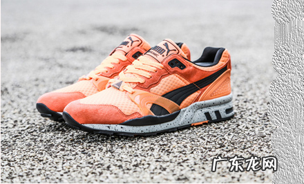 彪马怎么清洗鞋子,彪马鞋子怎么清洗绒面