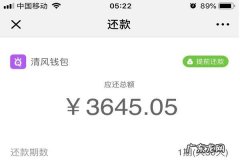 章鱼钱包放款要多久,360借条的支付公司叫什么