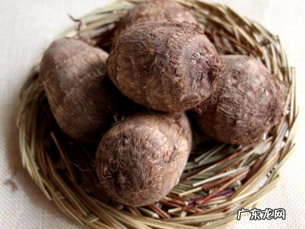 芋头怎么种才会发芽,芋头怎么种才长的大