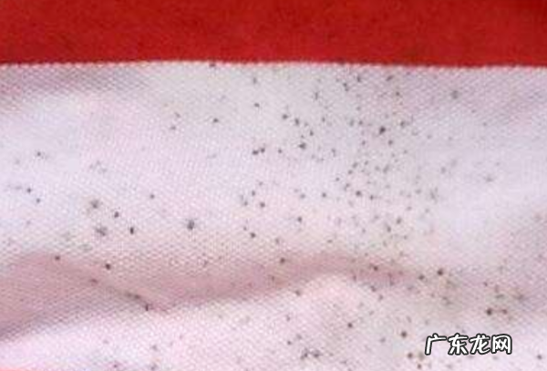 衣服上的荧光粉末如何去除,洗衣液里的荧光剂怎么洗掉