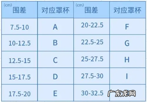 c罩杯分为哪几个型号,胸的大小分为几种型号从小到大