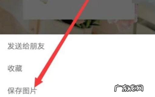 怎么样转发别人发的朋友圈,朋友发的朋友圈怎么转发到朋友圈