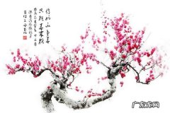 笑也不争春下一句是什么,少爷不争春只把春来报