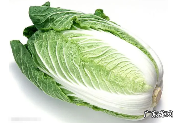 哪些蔬菜含有粗纤维,十大粗纤维蔬菜排行榜