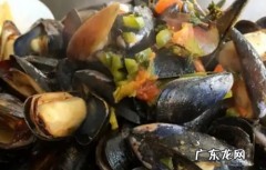 淡菜是不是青口,淡菜是什么