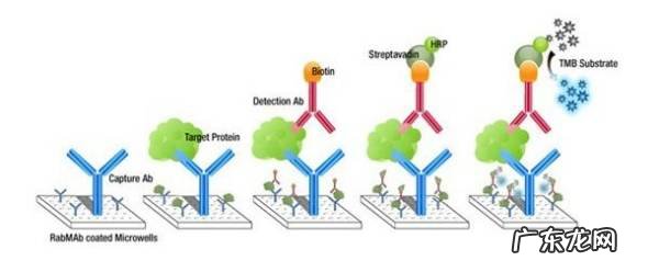 酶原激活的原理是什么,什么是酶原