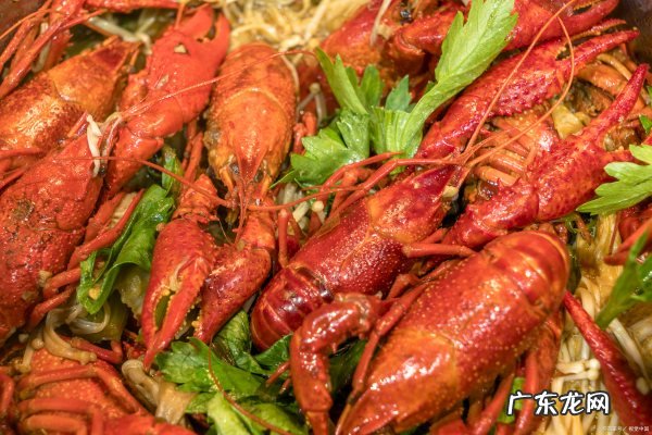 小龙虾和普通虾有什么区别,龙虾和小龙虾有什么区别