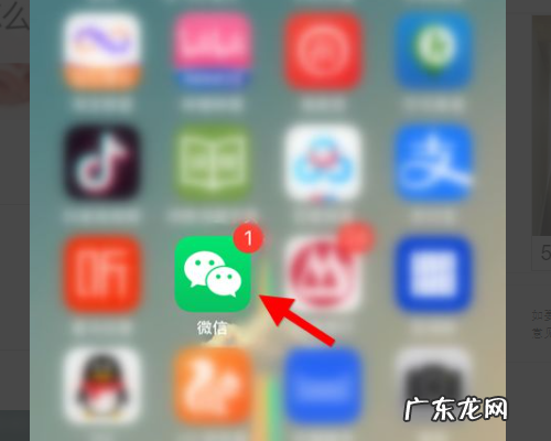 海底捞拿号怎么拿,海底捞排号怎么排中桌