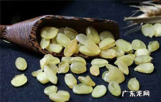 皂角米一次吃几颗,皂角米一次煮多少克为好一个人