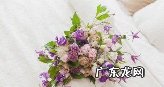 鲜花花苞不开怎么办,鲜花花苞不开怎么处理