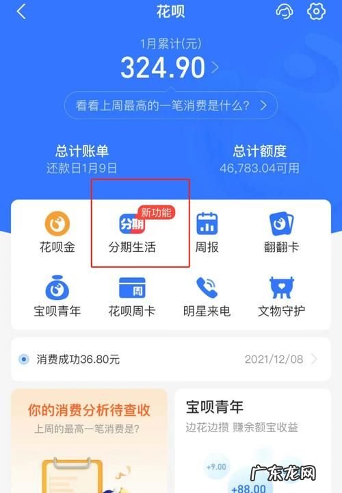 花呗分期在哪里查看,花呗分期和最低还款哪个划算