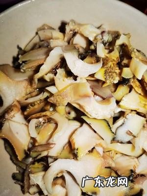 冷冻的带壳海螺怎么吃,冷冻的海螺煮多久能吃