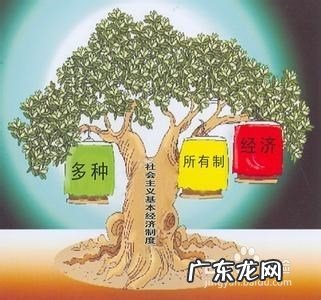 什么是单一的公有制经济,什么叫公有制经济什么叫所有制经济