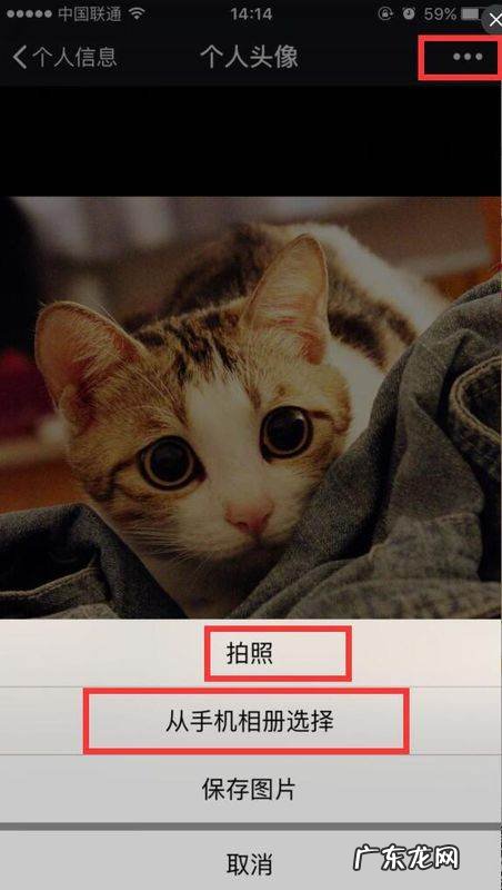 微信群能单独换头像,微信群可以单独设置头像照片