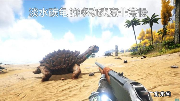 方舟生存进化淡水碳龟吃什么,方舟淡水碳龟蛋饲料可以驯服什么