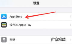 苹果手机软件要经常更新,iphone手机app自动更新怎么关闭