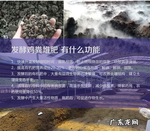 鸡粪发酵最快的方法,鸡屎发酵最简单方法