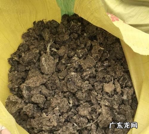 鸡粪发酵最快的方法,鸡屎发酵最简单方法
