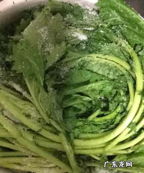 雪里红的做法有哪些,雪里红的做法怎样才好吃