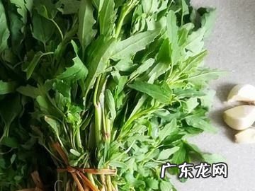 灰灰菜做法 凉拌灰灰菜做法,灰灰菜的做法和吃法