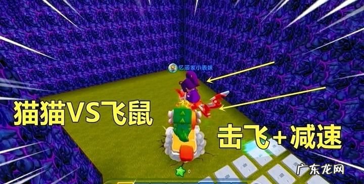 迷你世界小飞鼠吃什么回血,迷你世界小飞鼠吃什么回血手机