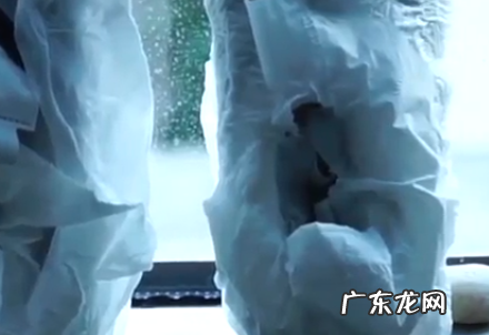 彪马绒毛面鞋怎么清洗,绒毛鞋头的彪马怎么洗干净