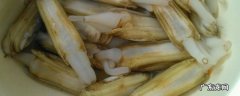 鲜活蛏子怎么处理 生蛏子怎么处理干净